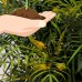 Mahonia Soft Caress, Landscape and Garden, Live Plants   555106611